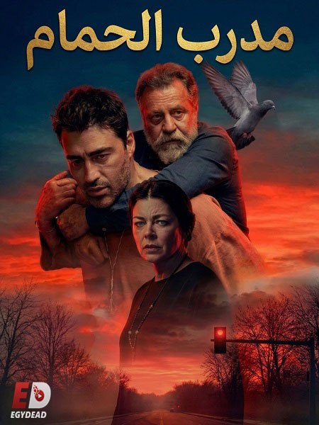 شاهدالفيلم التركي مدرب الحمام 2026 مدبلج